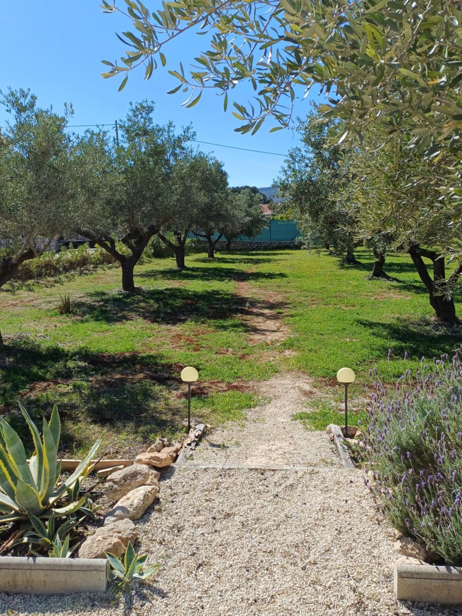 Finca La Higuera - Boutique B&B Ontinyent Extérieur photo