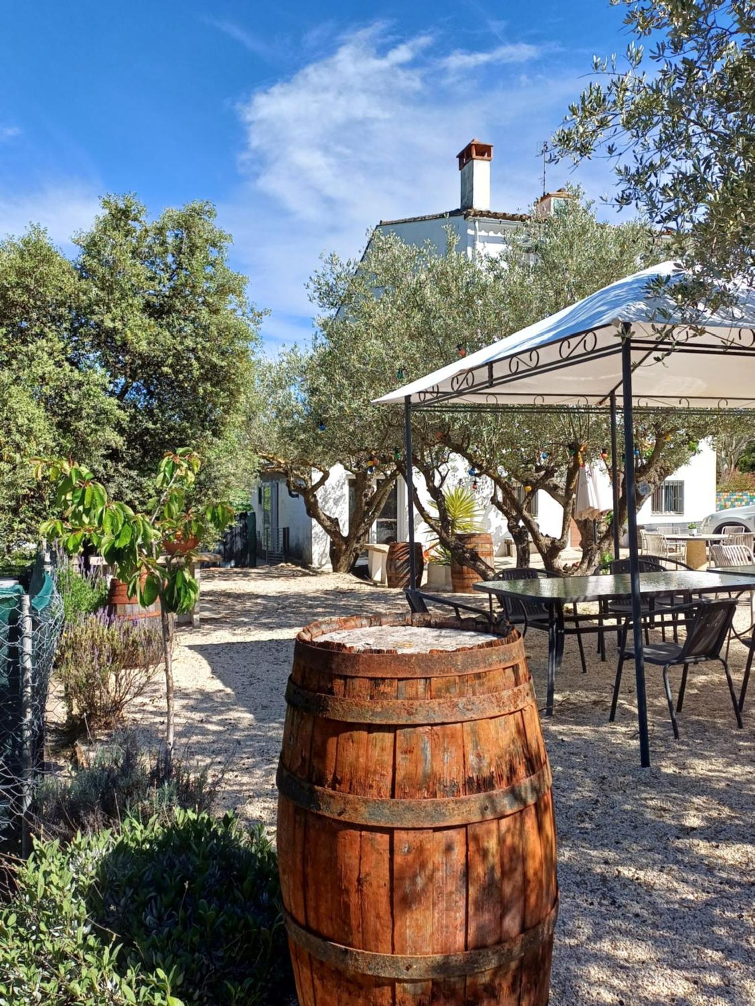 Finca La Higuera - Boutique B&B Ontinyent Extérieur photo