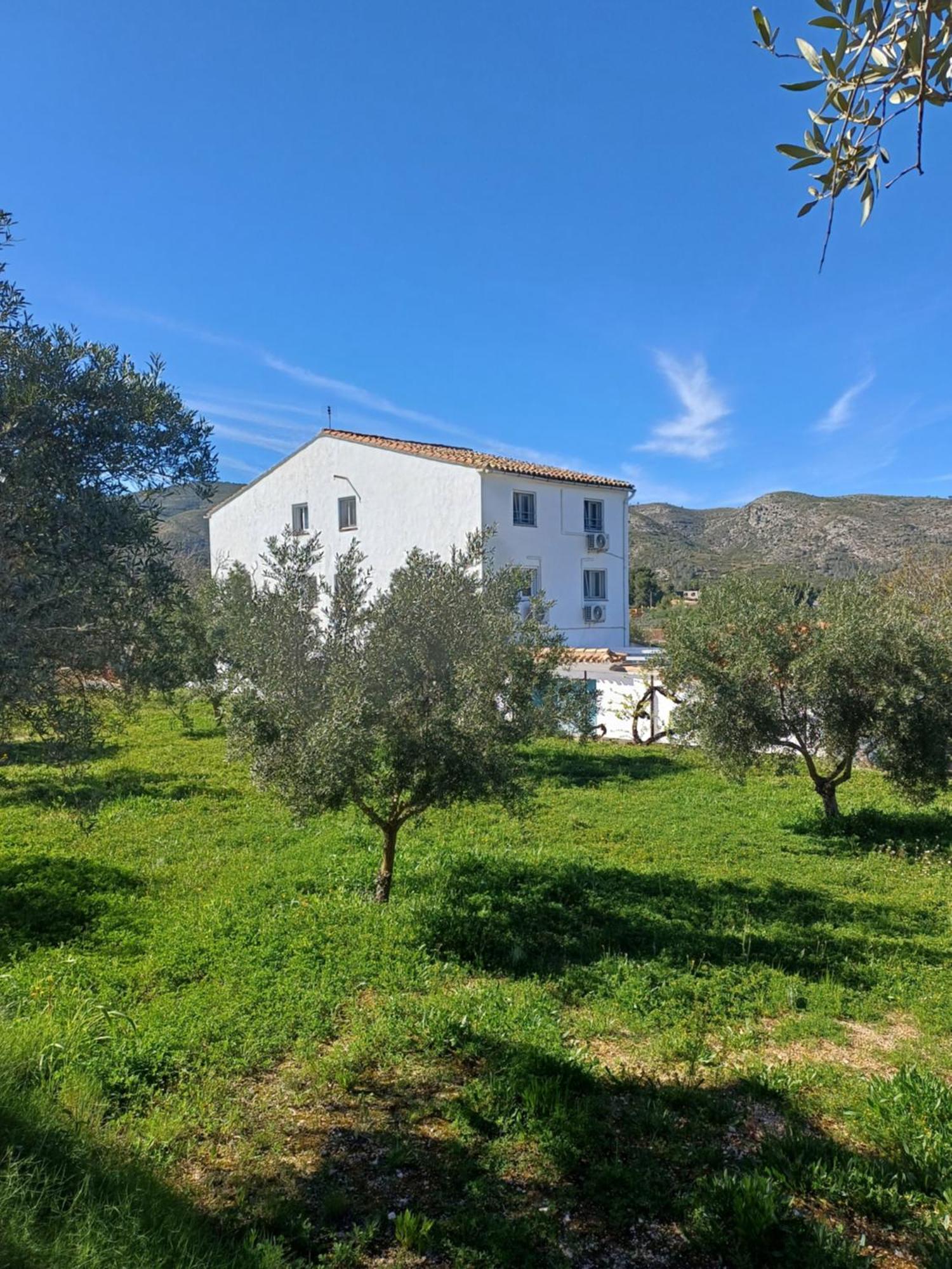 Finca La Higuera - Boutique B&B Ontinyent Extérieur photo