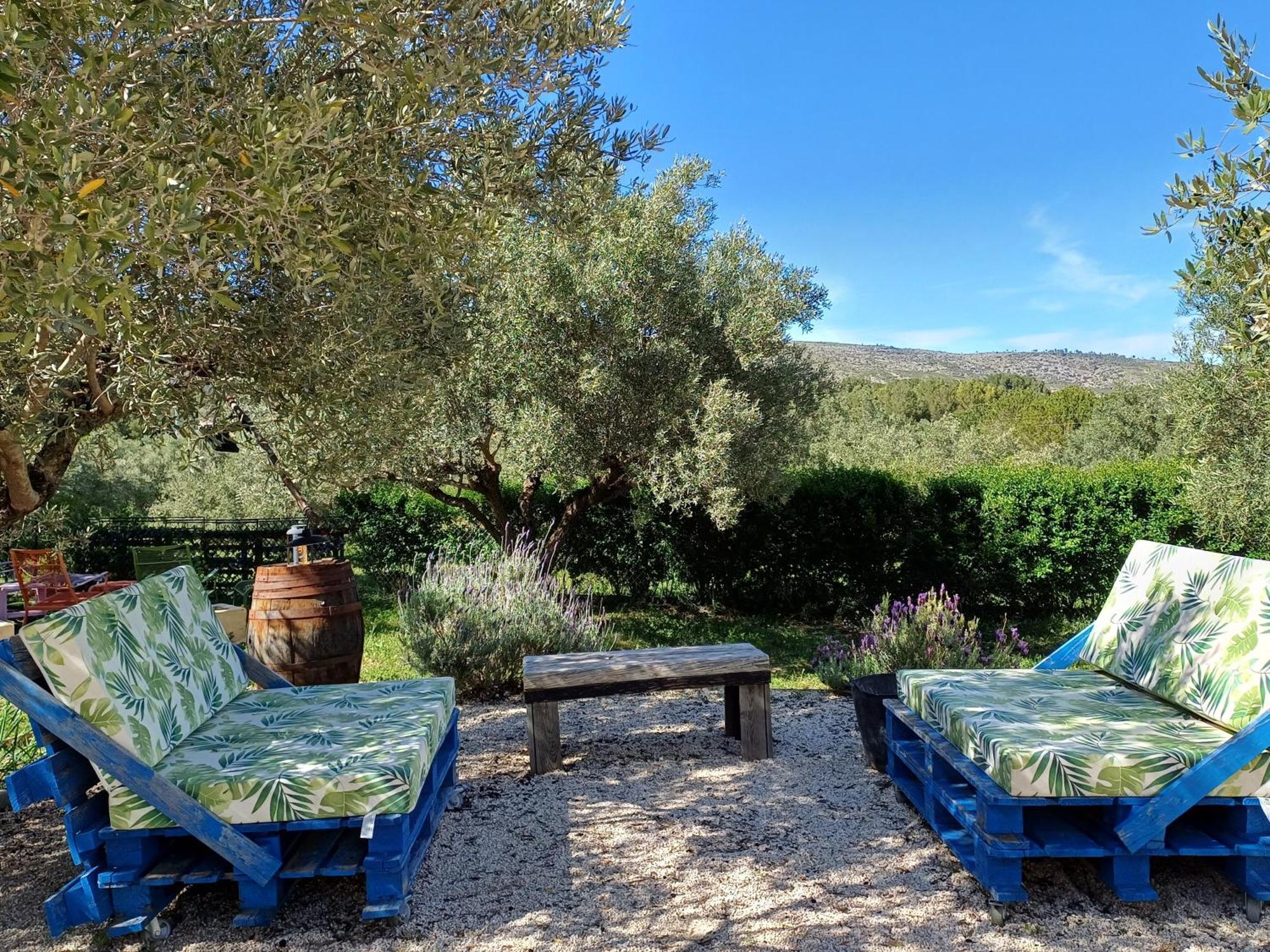 Finca La Higuera - Boutique B&B Ontinyent Extérieur photo