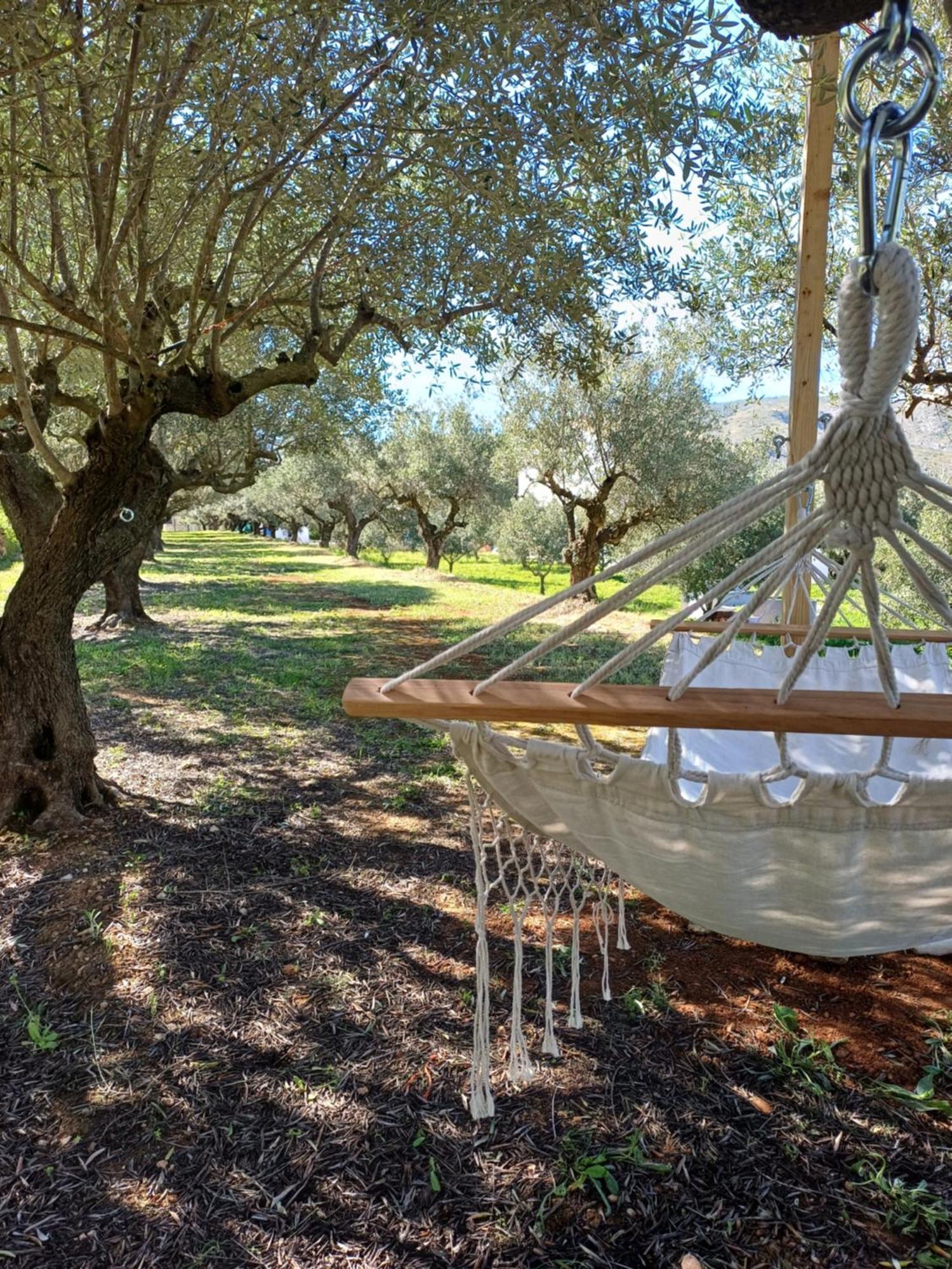 Finca La Higuera - Boutique B&B Ontinyent Extérieur photo