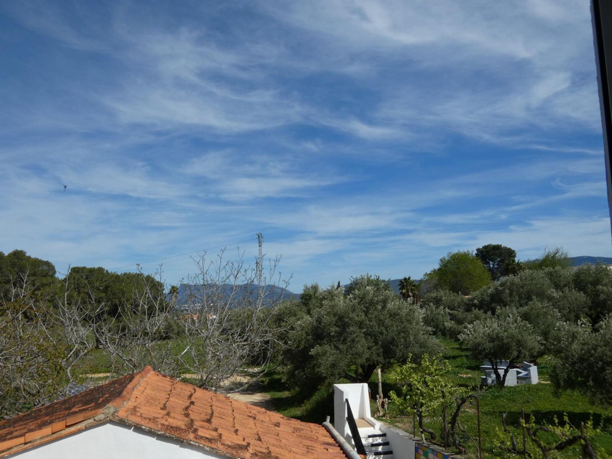 Finca La Higuera - Boutique B&B Ontinyent Extérieur photo