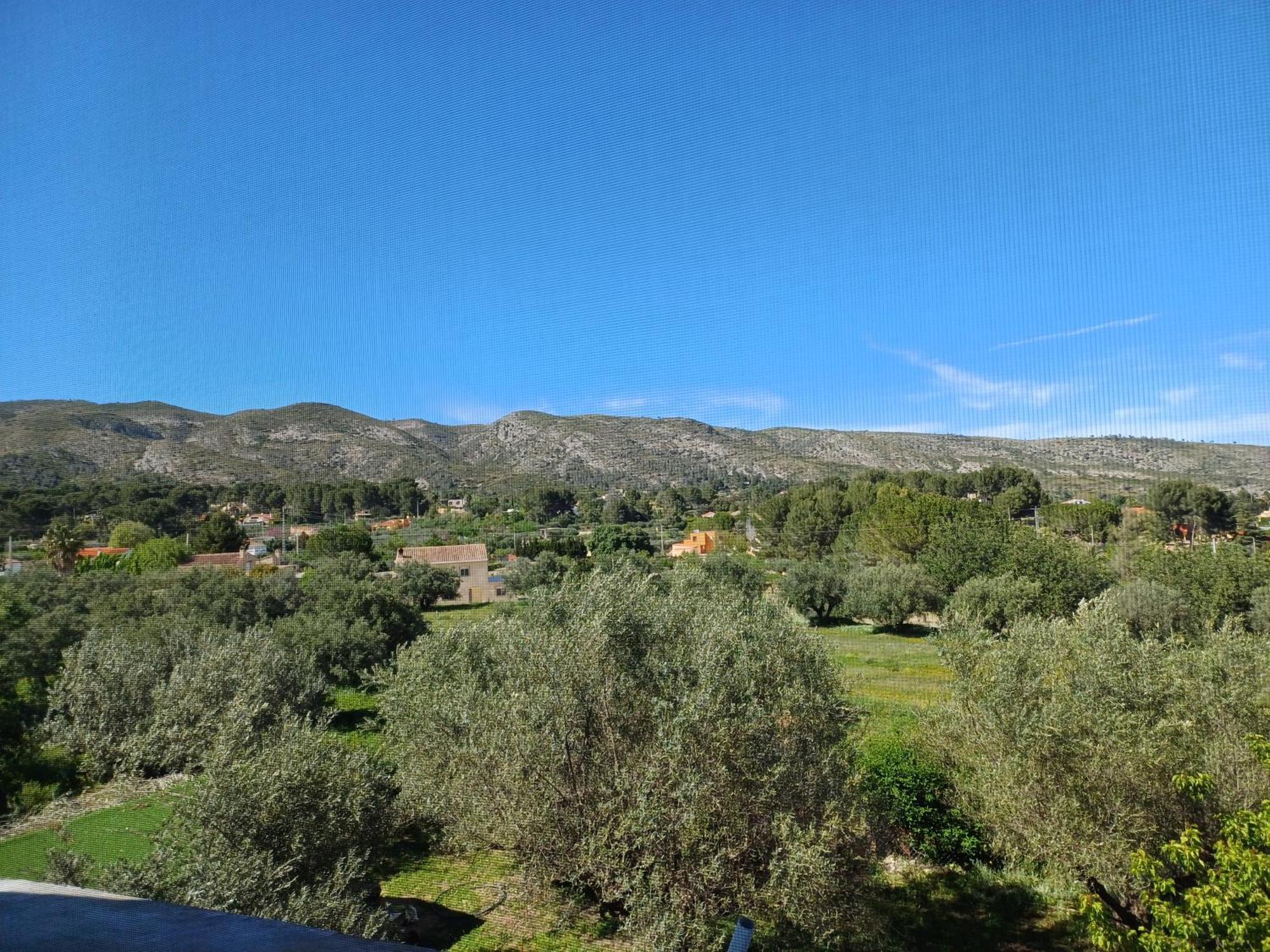Finca La Higuera - Boutique B&B Ontinyent Extérieur photo